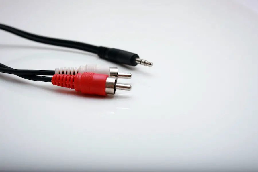 closeup photo of RCA aux cable